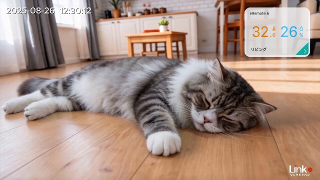 Amazon.co.jp: 【国内メーカー・国内サーバー】 LinkJapan eCamera4